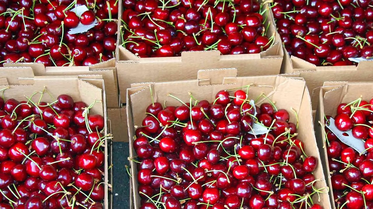 Главная картинка новости: Черешневый кризис на Кубани: цены взлетят вдвое, а ягоды будет вполовину меньше. Когда ждать урожай?