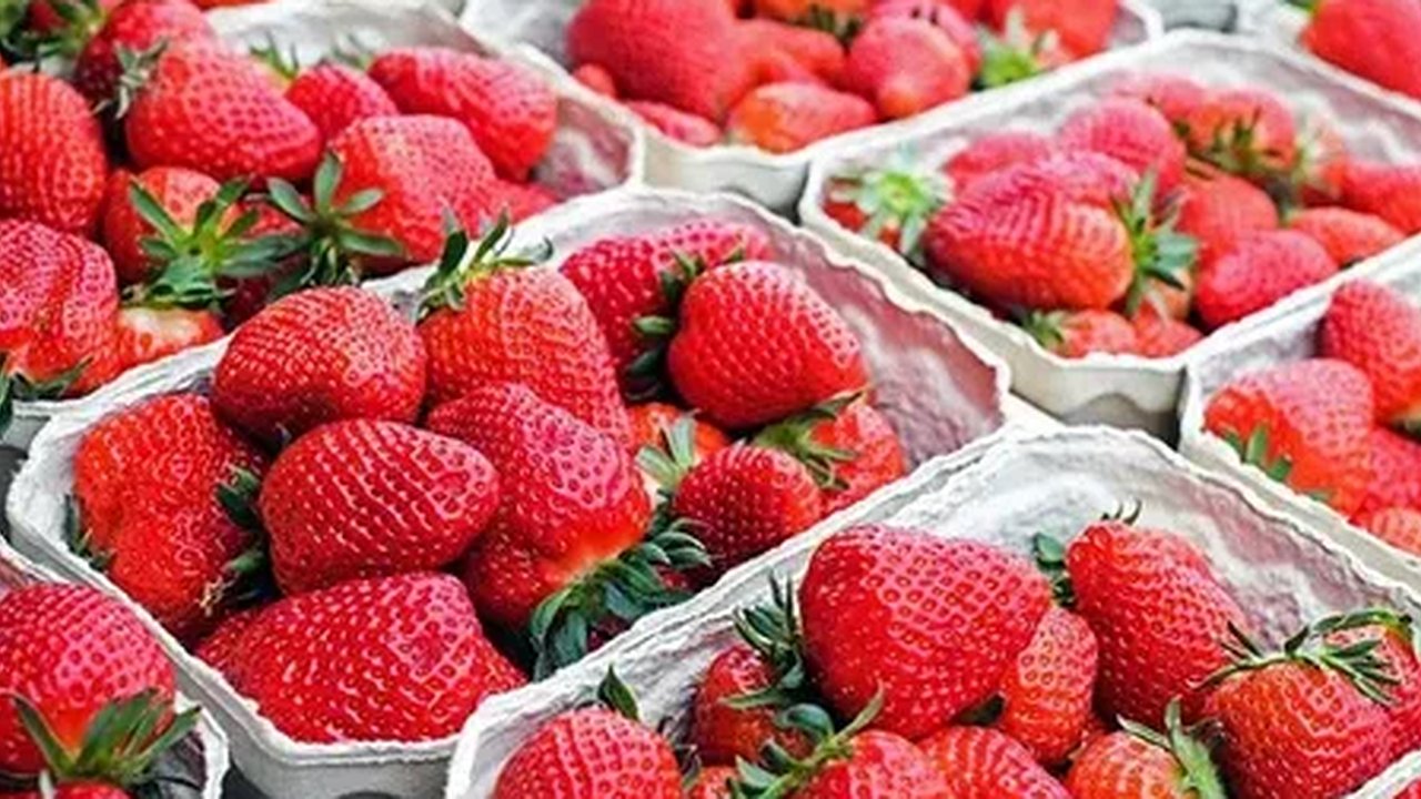 Главная картинка новости: В Роскачестве предупредили: почему не стоит покупать слишком идеальную клубнику