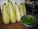 Кабачки-великаны: когда и как сажать, чтобы собрать рекордный урожай
