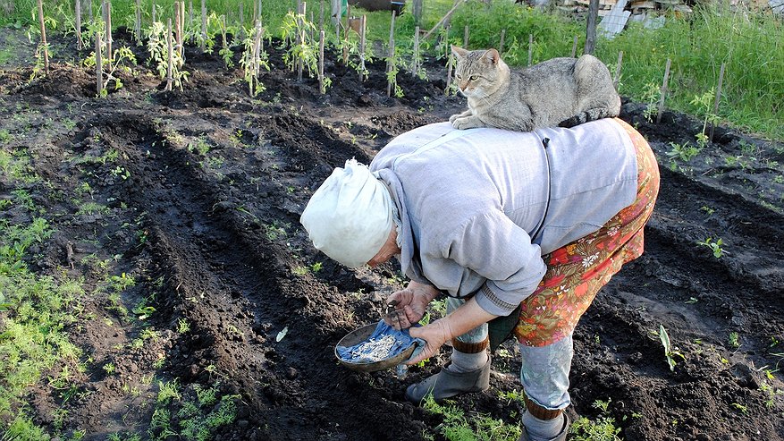 https://gazetanovoros.ru/media/main_photos/2025/05/23/150394646414351271.jpg.877x493_q85_box-0,86,1600,985_crop_detail_upscale.jpg