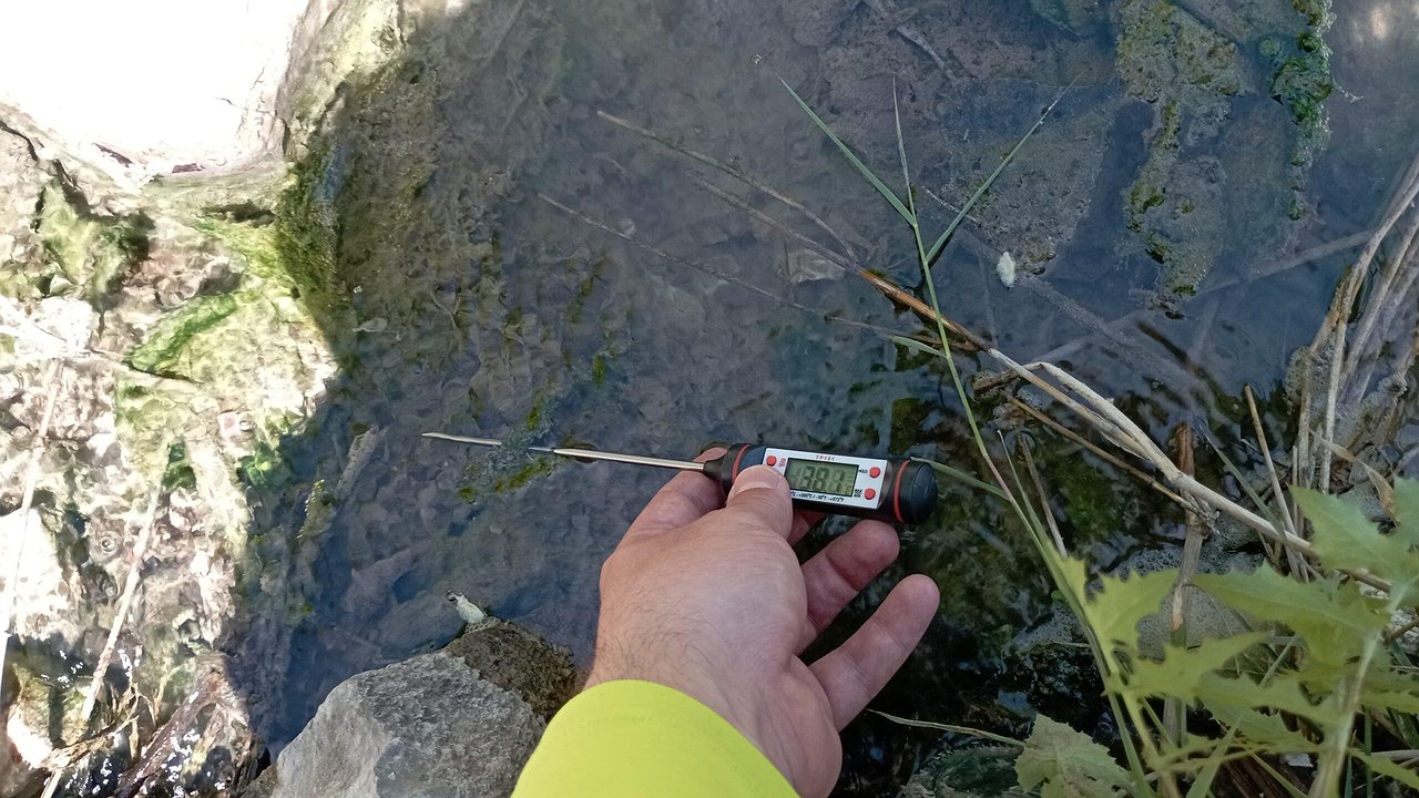 Главная картинка новости: Экологическая тревога: вода в охраняемых прудах Новороссийска нагрелась до +38°C