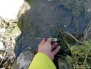 Экологическая тревога: вода в охраняемых прудах Новороссийска нагрелась до +38°C