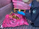 На страже урожая: Новороссийск остановил тонны опасного картофеля из Египта