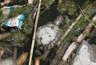 Миниатюра новости: Кипяток вместо жизни! Мертвые черепахи и адская вода — экологический кошмар в Южных прудах Новороссийска