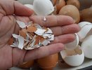 Яичную скорлупу не выбрасывайте — кидайте в стирку! Магазинная химия не нужна