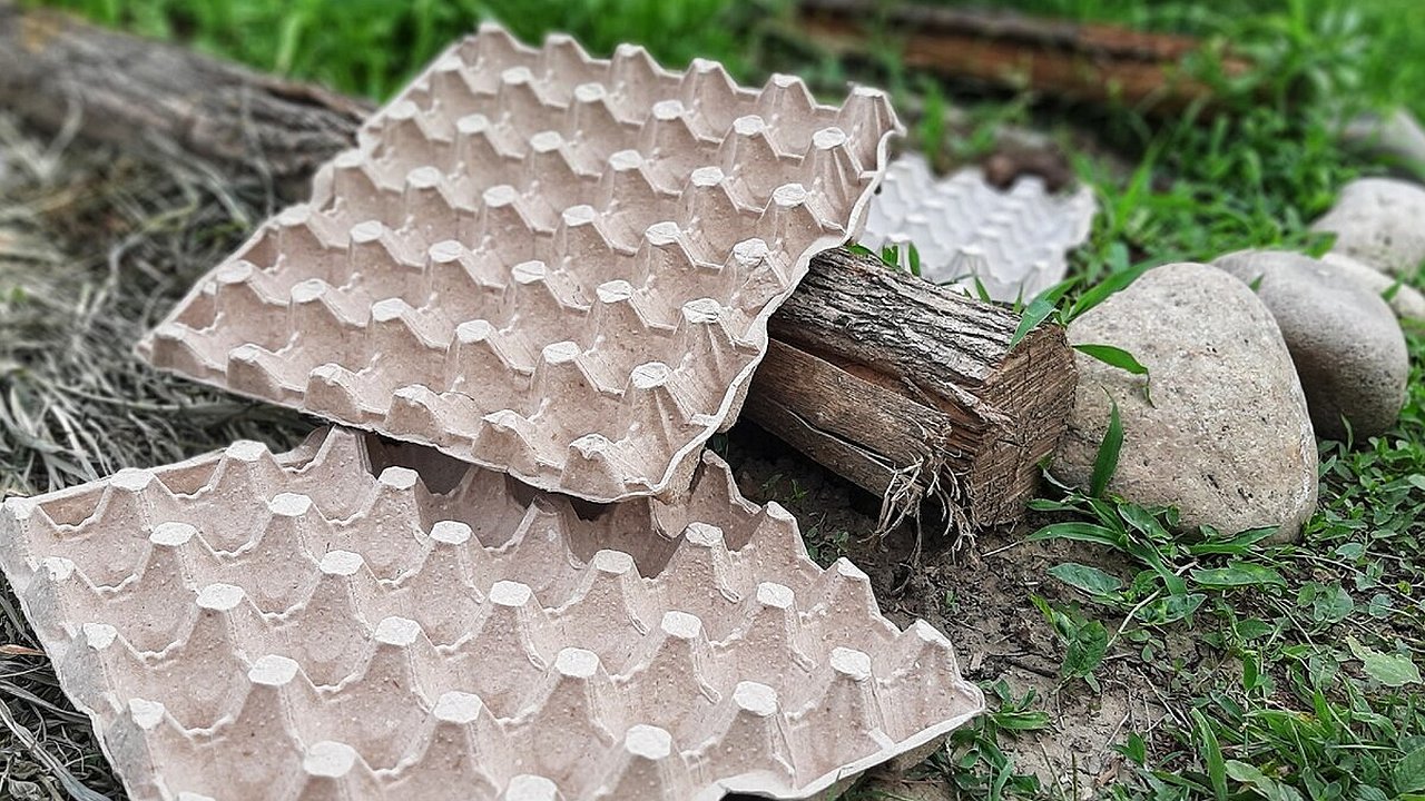 Главная картинка новости: Не выбрасывайте лотки от яиц: они станут верными помощниками в огороде