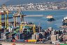Миниатюра новости: В Новороссийском порту за неделю обнаружили 39 зараженных партий импорта
