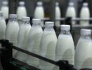 Роспотребнадзор бьёт тревогу: опасные молочные изделия обнаружены в Краснодарском крае