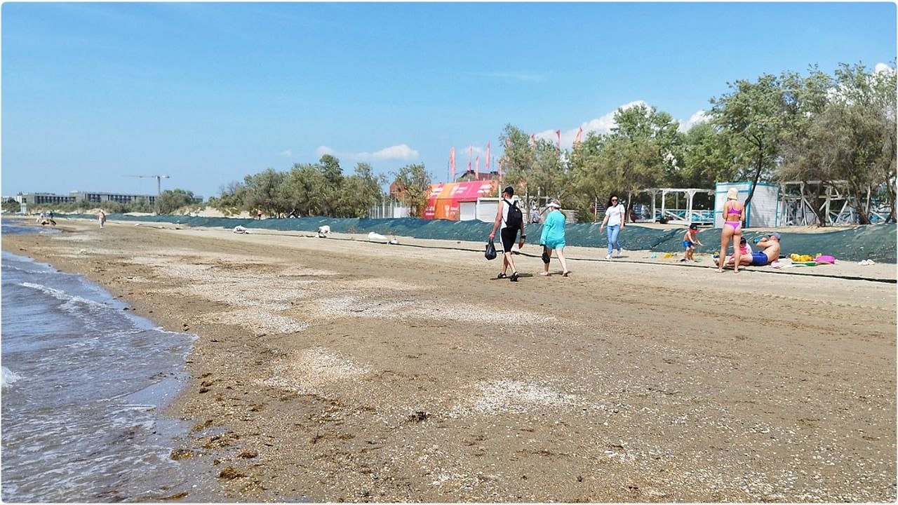 Главная картинка новости: Роспотребнадзор в панике: Анапа бунтует! Туристы ныряют, дети плещутся, а море... молчит