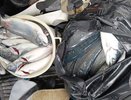"Форелевый ажиотаж" в Геленджике: сотни рыбаков ринулись за ценным уловом