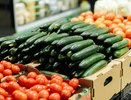 В Новороссийске подешевели яйца и овощи: статистика показала заметное снижение цен