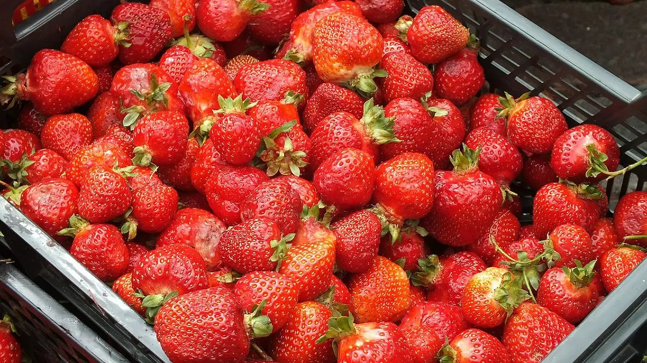 Главная картинка новости: В Новороссийске клубнику продавали за 100 рублей за ящик, но был подвох