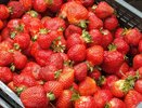 В Новороссийске клубнику продавали за 100 рублей за ящик, но был подвох