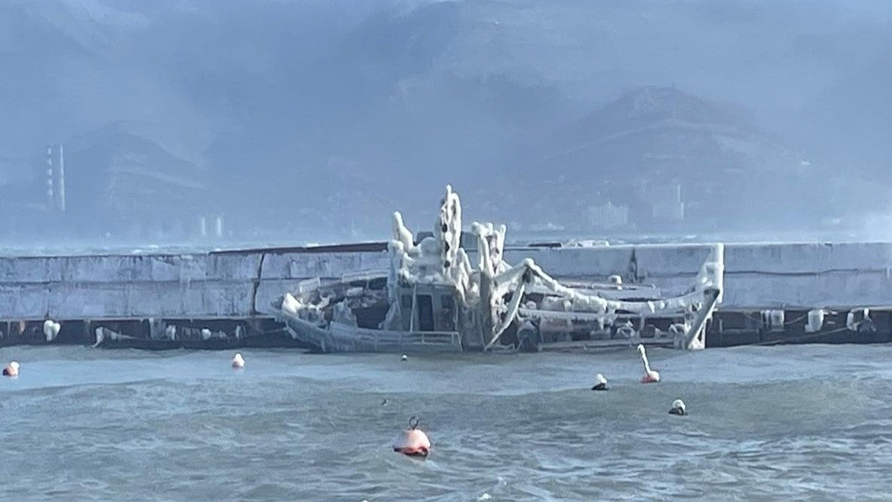 Главная картинка новости: Научное судно «Ашамба», затонувшее под Новороссийском, восстановят за счет меценатов