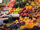 В Новороссийске не попали на прилавок 256 тонн фруктов: россиян хотели накормить зараженным импортом