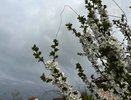 Не ждите тепла: с 10 июня нагрянет похолодание и дожди