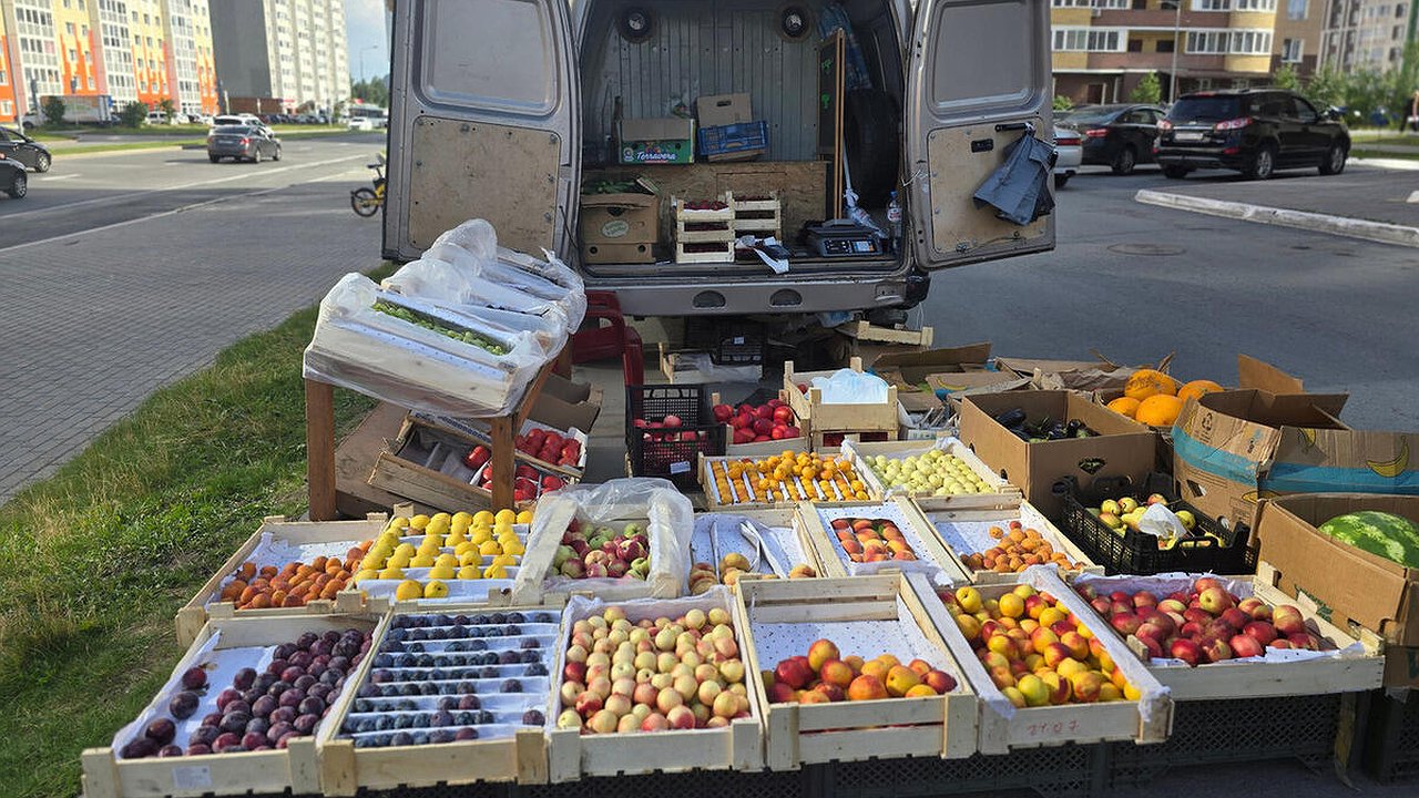 Главная картинка новости: В Новороссийске усилили контроль за уличной торговлей: 90 штрафов с начала года