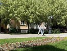 Денежный мешок упадет с небес: Меркурий волшебно озолотит два знака зодиака с 20 июня