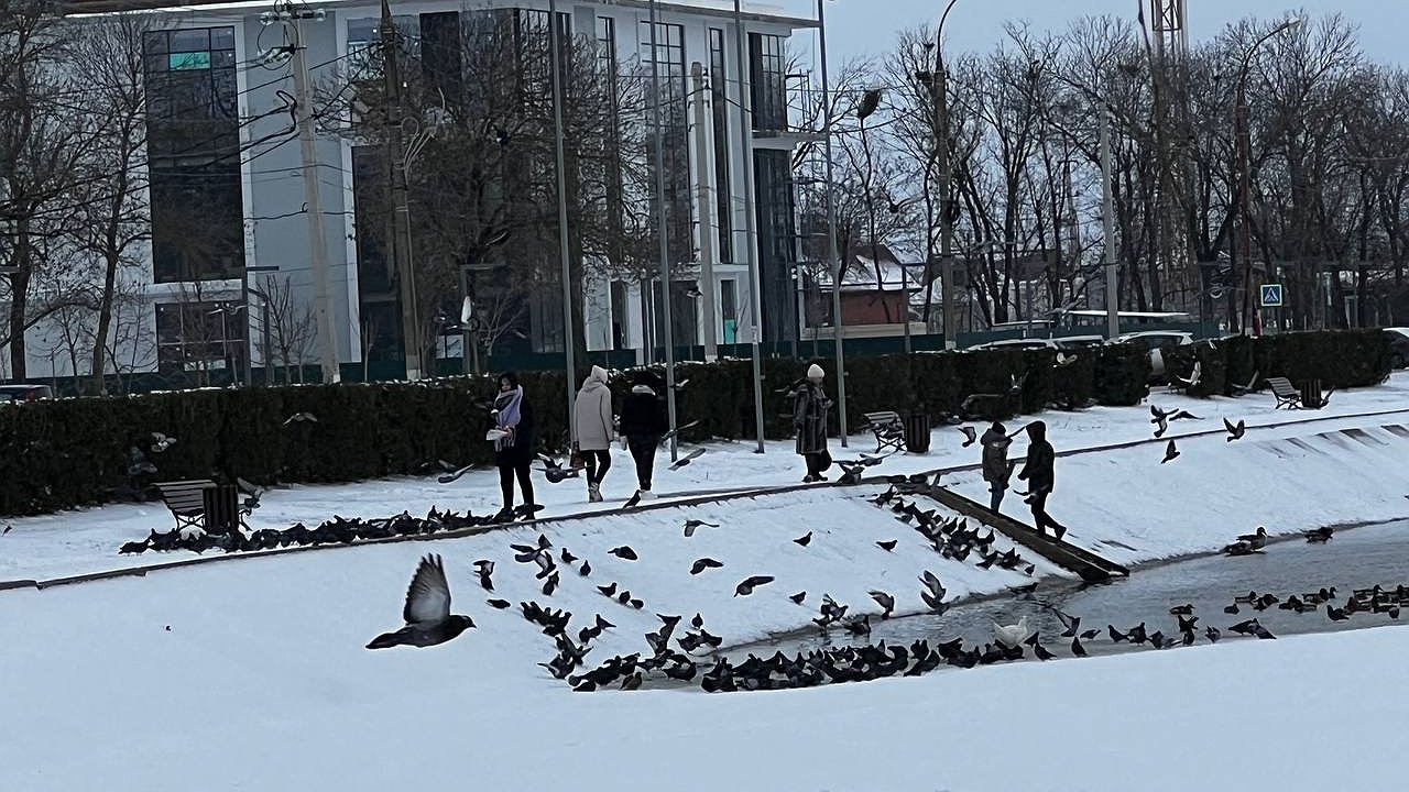 Главная картинка новости: Синоптики опустили руки: прогноз снова изменился с 14 июня - морозы и снег нагрянут посреди июня