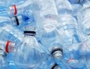 Как я превратила кучу бутылок в садовое золото: простой способ, который оценит каждый дачник