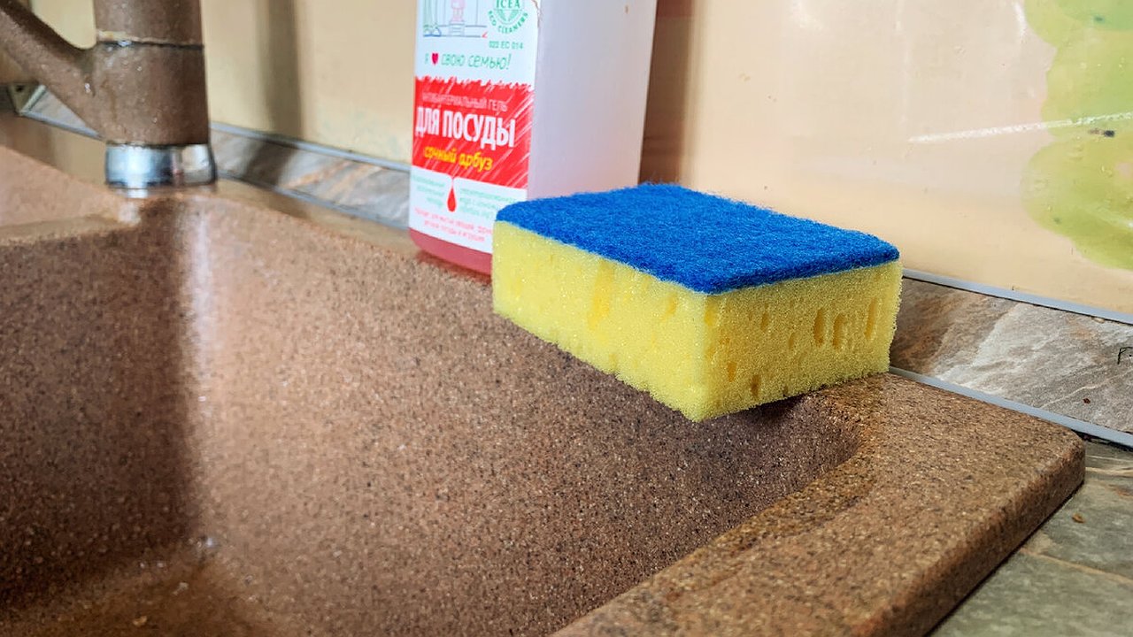 Главная картинка новости: Старинный рецепт против тараканов: простая губка уничтожает целые колонии вредителей