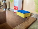 Старинный рецепт против тараканов: простая губка уничтожает целые колонии вредителей