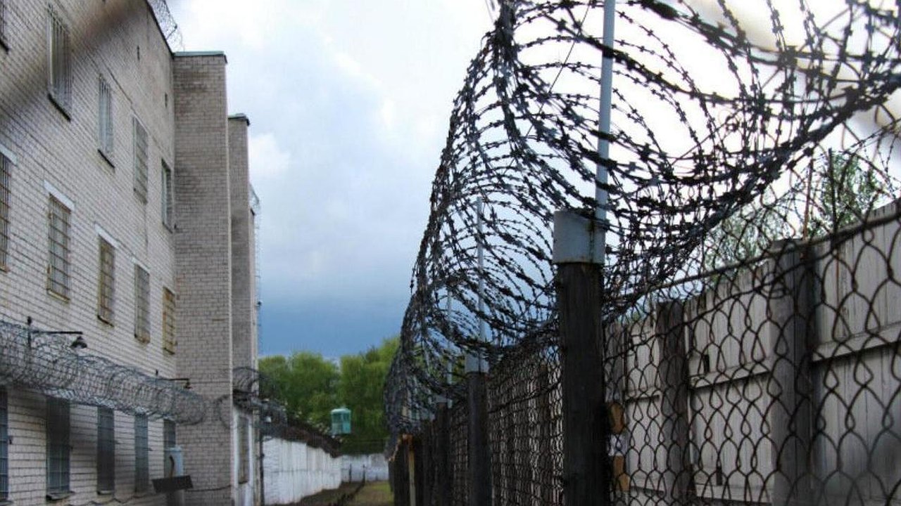 Главная картинка новости: Амнистия-2025: полный перечень тех, кто сможет выйти на свободу