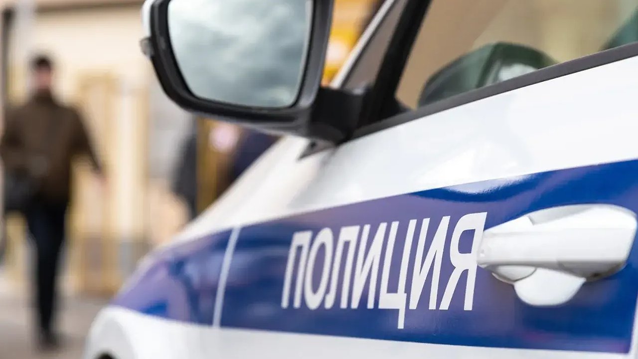 Главная картинка новости: Новороссийск за 5 месяцев: рост мошенничеств, но меньше краж – главное о преступности