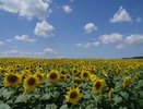 Жара, ливни, похолодание: что ждёт Россию в июле 2025