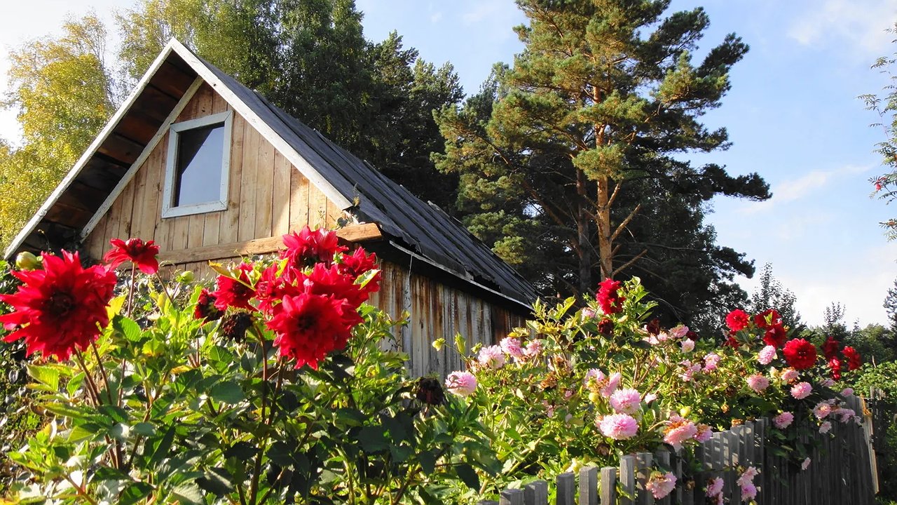 Главная картинка новости: Указ подписан: с 23 июня начнут забирать землю — всех, у кого участок или дача в собственности, ждет новое правило