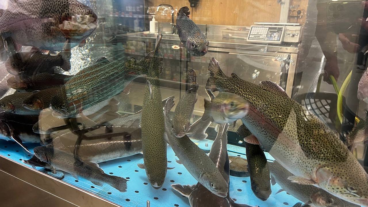 Главная картинка новости: Рыба, которую вообще нельзя подавать к столу: а мы едим еще и детям даем - в ней много паразитов