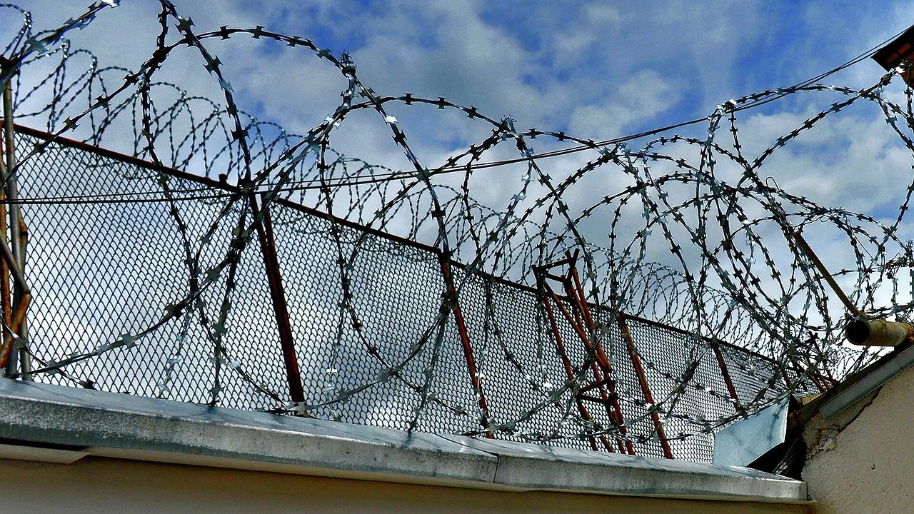 Главная картинка новости: Стало известно кто выйдет на свободу по амнистии 2025: полный список категорий