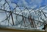 Миниатюра новости: Стало известно кто выйдет на свободу по амнистии 2025: полный список категорий