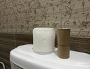 "Туалетная бумага уходит в прошлое - ее замена гораздо эффективнее": что рассказали эксперты