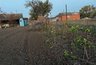 Миниатюра новости: Прыскаю на садовые дорожки - и "сжигаю" все сорняки: за 1 день засыхают даже пырей и молочай - вот что надо