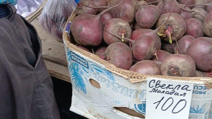 Главная картинка новости: Свекла в Новороссийске: новый урожай и прошлогодние запасы - сравнение цен и качества