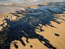 Учёные рассчитали: сколько песка нужно, чтобы вернуть к жизни пострадавшие кубанские пляжи