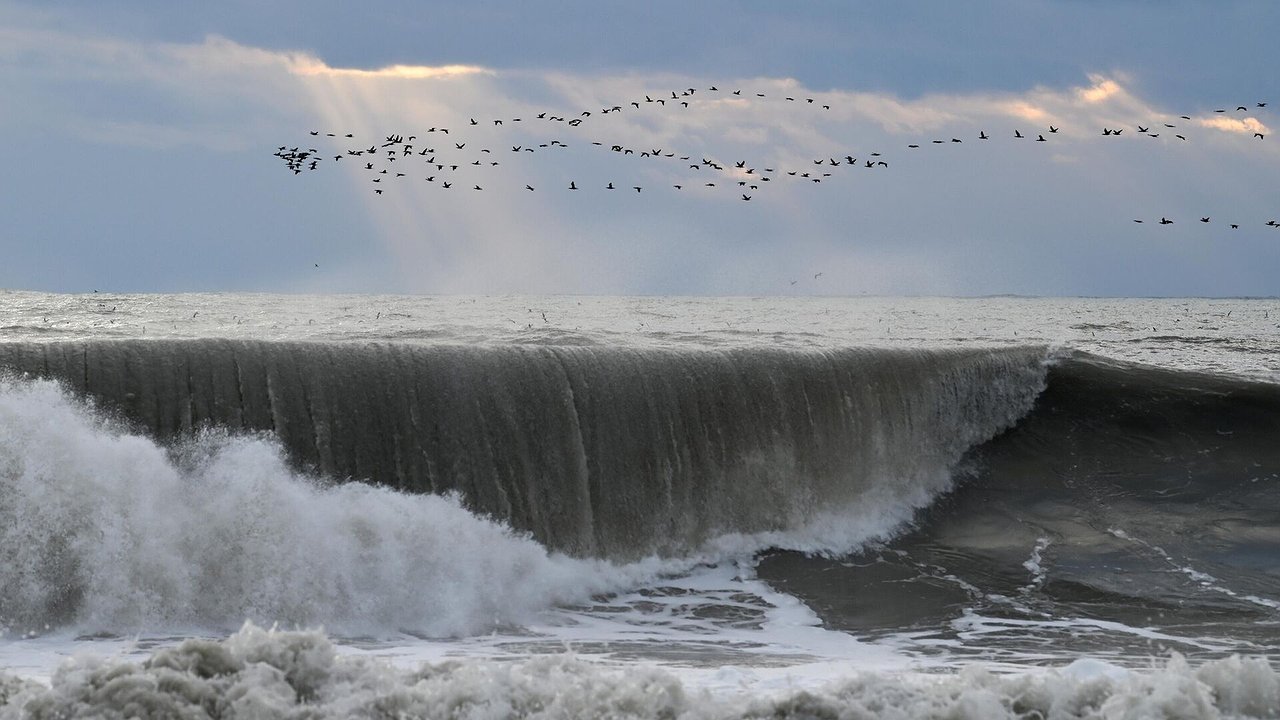 Главная картинка новости: Грозы, град и шквалы: новый шторм надвигается на Кубань