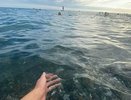 Где сейчас самое тёплое море на Кубани: неожиданные изменения температуры воды