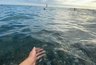 Миниатюра новости: Где сейчас самое тёплое море на Кубани: неожиданные изменения температуры воды