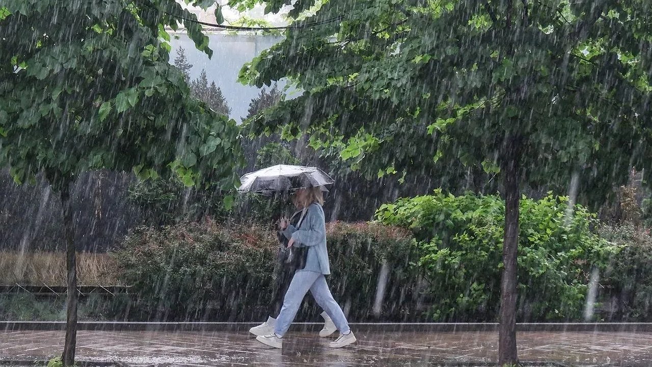 Главная картинка новости: Новороссийск готовится к непогоде: прогноз на ближайшие дни