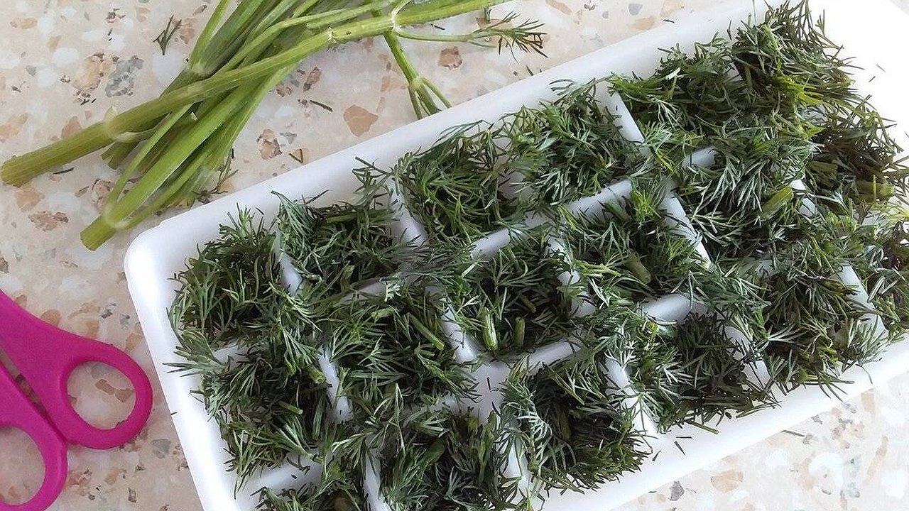 Главная картинка новости: Заменила заморозку зелени на гениальный способ: ароматная приправа из укропа, петрушки и чеснока хранится годами