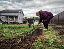 Теперь это под запретом: пенсионеров 60-85 лет ждет неожиданное изменение с 30 июня