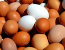 Вот что станет, если съесть яйца с двумя желтками – запомните раз и навсегда