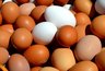Миниатюра новости: Вот что станет, если съесть яйца с двумя желтками – запомните раз и навсегда