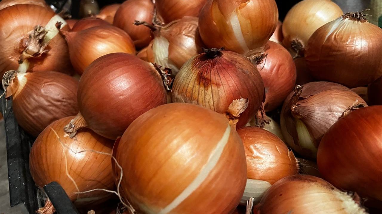 Главная картинка новости: До 30 июня луку — очень важно: 3 ложки в воду — и луковицы вырастут размером с арбуз, а перья ни за что не пожелтеют