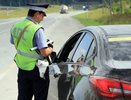 Эти автомобили реже всего останавливает ДПС: список от ГАИ на заметку водителям