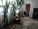 Пять вещей в доме, которые сразу говорят о низкой самооценке хозяйки