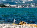 Не хотите мерзнуть в воде? Эти 5 пляжей Краснодарского края будут самыми теплыми в июле