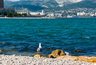 Миниатюра новости: Не хотите мерзнуть в воде? Эти 5 пляжей Краснодарского края будут самыми теплыми в июле